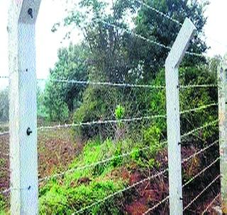 The fence of the star rises on the animal life! | तारेचे कुंपण उठले प्राण्यांच्या जीवावर! The fence of the star rises on the animal life! | तारेचे कुंपण उठले प्राण्यांच्या जीवावर!