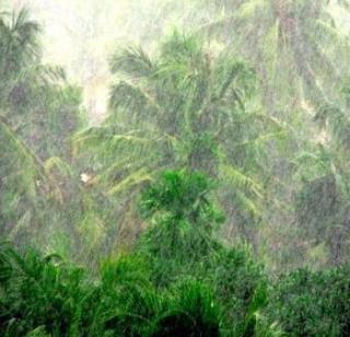 Monsoons reactivated | मॉन्सून पुन्हा सक्रिय
