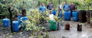 Jamagiri destroyed the drunkenness in the forest | जामगिरी जंगलातील दारूअड्डा उद्ध्वस्त