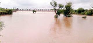 Due to the continuous rains the risk of crops | संततधार पावसामुळे पिके धोक्यात Due to the continuous rains the risk of crops | संततधार पावसामुळे पिके धोक्यात