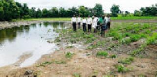 Rainfall annually reached the Pusad subdivision | पुसद उपविभागात पावसाने गाठली वार्षिक सरासरी