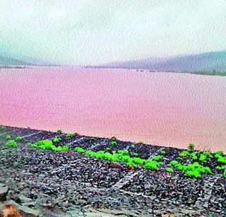 Heavy rain in the reservoir | धरणक्षेत्रात पावसाची दमदार हजेरी