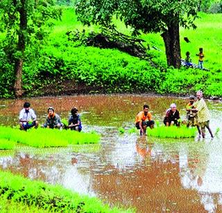 Neera-Deogarh 66.81, and Bhatghar 64.79 percent | नीरा-देवघर ६६.८१ , तर भाटघर : ६४.७९ टक्के