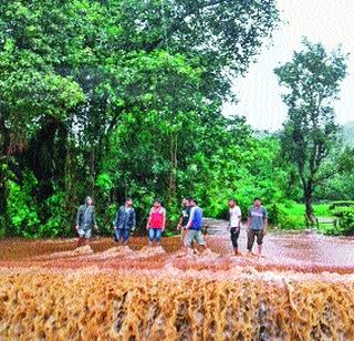 Due to flooding the paddy cultivation has been lost | पुरामुळे बांधासह भातशेती गेली वाहून