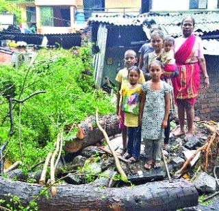 Family displaced due to tree collapse at home | घरावर वृक्ष कोसळल्यामुळे कुटुंब बेघर