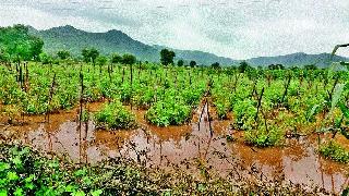 Chandrapur, Arjunasagar | चणकापूर, अर्जुनसागर (पुनंद) धरणांतून विसर्ग