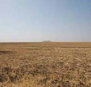 27 acres of land grabbing | २७ एकर बळकाविण्याचा डाव 27 acres of land grabbing | २७ एकर बळकाविण्याचा डाव