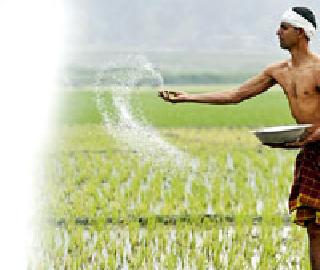 Vidarbha's expenditure in the special component plan is 85 crore rupees | विशेष घटक योजनेत विदर्भाच्या वाट्याला ८५ कोटी Vidarbha's expenditure in the special component plan is 85 crore rupees | विशेष घटक योजनेत विदर्भाच्या वाट्याला ८५ कोटी