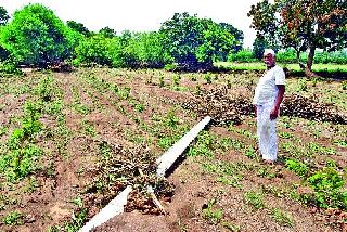 Damage to Munjwad | मुंजवाडला नुकसानं