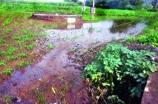 Damage to Crop Farming in Pilkos Shivar | पिळकोस शिवारातील शेतीतील पिकांचे नुकसान