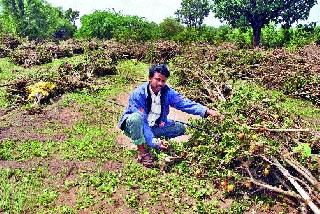 Due to flooding of crops | पुरामुळे पिकांचे नुकसान