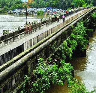 Traffic restriction due to the bridging of the British Memorial Bridge | ब्रिटिशकालीन कळवा पूल बंद झाल्याने वाहतूक कोंडी