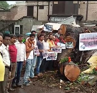 Tribute to the historic Botanist in Nashik | नाशिकमध्ये ऐतिहासिक वटवृक्षाला श्रद्धांजली