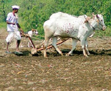 9 7 crore loan allocation | ९७ कोटींचे कर्ज वाटप 9 7 crore loan allocation | ९७ कोटींचे कर्ज वाटप