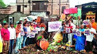 Tribute to bitter fruit! | श्रद्धांजली वटवृक्षाला !