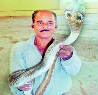 Need for awareness of snake charming | सर्पसंवर्धनासाठी जनजागृतीची गरज