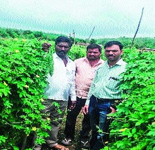 Farmer's crop leads to farmer Lakhpati | कारल्याच्या पिकामुळे शेतकरी लखपती