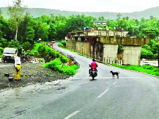 Despite the accident, the bridge over the bridge was ignored | दुर्घटना घडूनही जगबुडी पुलाकडे दुर्लक्षच