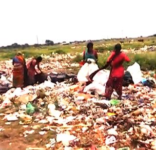 They look in the trash - 'bread'! | ते कच-यात शोधतात 'भाकरी’ !