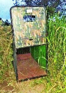 Due to dizziness in Mussalgaon Shivar | मुसळगाव शिवारात बिबट्याची दहशत Due to dizziness in Mussalgaon Shivar | मुसळगाव शिवारात बिबट्याची दहशत