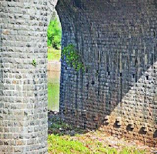 The bridge of the bridge | पुलांकडे पालिकेचा काणाडोळाच