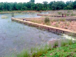 This year, the horse's "overflow" is hard to come by | यावर्षी घोडाझरीचा ‘ओव्हर फ्लो’ जरा कठीणच This year, the horse's "overflow" is hard to come by | यावर्षी घोडाझरीचा ‘ओव्हर फ्लो’ जरा कठीणच