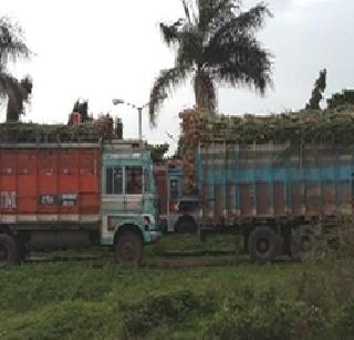 Hundreds of tons of sugarcane fodder in the district of Nandurbar district | नंदुरबार जिल्ह्यातील शेकडो टन उसाचा चारा पर जिल्ह्यात