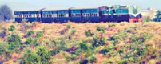 Participation by the Government regarding the Pulgaon-Arvi railway route | पुलगाव-आर्वी रेल्वे मार्गाबाबत शासनाकडून पक्षपात