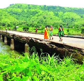 Bridge of Nala on the Nageshwari river | नागेश्वरी नदीवरील पुलाची दुरवस्था