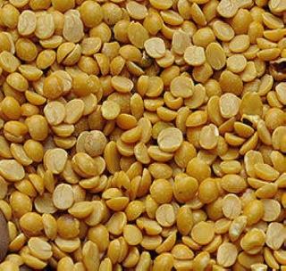 Far from the market price, tur dal is expensive! | बाजारभावापेक्षा सवलतीची तूर डाळ महाग ! Far from the market price, tur dal is expensive! | बाजारभावापेक्षा सवलतीची तूर डाळ महाग !