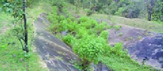 Waiting for the lake on the Damar road | दामरंचा मार्गावरील तलाव खोलीकरणाच्या प्रतीक्षेत Waiting for the lake on the Damar road | दामरंचा मार्गावरील तलाव खोलीकरणाच्या प्रतीक्षेत