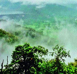 Dense fog and green fodder beauty fill in | दाट धुके व हिरवाईने पोखरीच्या सौंदर्यात भर Dense fog and green fodder beauty fill in | दाट धुके व हिरवाईने पोखरीच्या सौंदर्यात भर