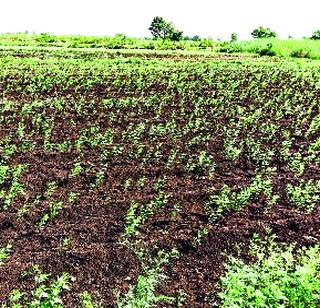 Thirsty Rajgegaon area | राजेगाव परिसर तहानलेला