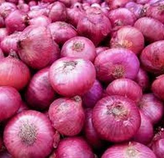 Onion crying for farmers | शेतकऱ्यांना रडवतोय कांदा