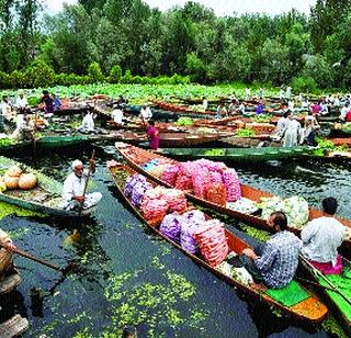 Dal Lake on the wave of 'Manusaki'! | दाल लेकवर ‘माणुसकी’चे तरंग!