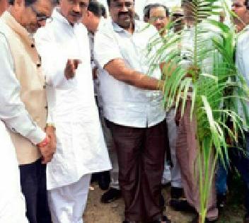 Need to make life on trees for them to grow | झाडे लावण्यासाठी त्यांच्यावर जीव लावणे गरजेचे Need to make life on trees for them to grow | झाडे लावण्यासाठी त्यांच्यावर जीव लावणे गरजेचे