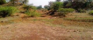 Deewari lake dry for 35 years | ३५ वर्षांपासून देवरी तलाव कोरडा