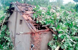 Due to rainstorm | जिमलगट्टाला वादळी पावसाचा तडाखा Due to rainstorm | जिमलगट्टाला वादळी पावसाचा तडाखा