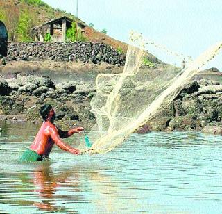 Farmers should turn to fisheries | शेतकऱ्यांनी मत्स्यव्यवसायाकडे वळावे Farmers should turn to fisheries | शेतकऱ्यांनी मत्स्यव्यवसायाकडे वळावे
