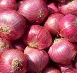 Since there is no receipt of onion sales, the farmers will be deprived of help | कांदा विक्रीची पावती नसल्याने शेतकरी राहणार मदतीपासून वंचित