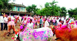 Dump-drum palm celebrates in the district | ढोल-ताशांच्या गजरात जिल्ह्यात पोळा साजरा