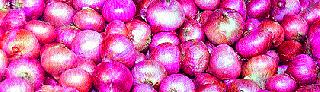 Reconsider the onion subsidy | कांदा अनुदानाचा फेरविचार करा