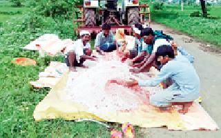 16 thousand metric tons of fertilizer | १६ हजार मेट्रिक टन खत शिल्लक 16 thousand metric tons of fertilizer | १६ हजार मेट्रिक टन खत शिल्लक