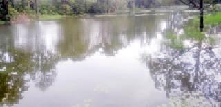 Hemlakasan Lake Tandum | हेमलकसातील तलाव तुडूंब Hemlakasan Lake Tandum | हेमलकसातील तलाव तुडूंब