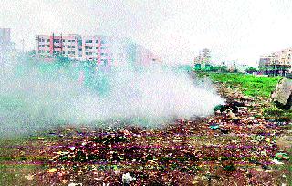 Trash net; Increase in pollution | कचऱ्याचा जाळ; प्रदूषणात वाढ Trash net; Increase in pollution | कचऱ्याचा जाळ; प्रदूषणात वाढ