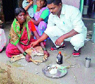 Prana survived the fate of the woman | महिलेच्या प्रसंगावधानाने वाचले हरणाचे प्राण Prana survived the fate of the woman | महिलेच्या प्रसंगावधानाने वाचले हरणाचे प्राण