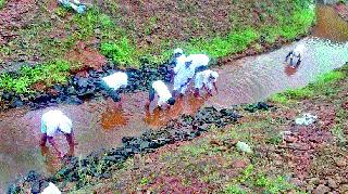 After all, the water of Punegaon was in Daswadi dam | अखेर पुनेगावचे पाणी पोहचले दरसवाडी धरणात After all, the water of Punegaon was in Daswadi dam | अखेर पुनेगावचे पाणी पोहचले दरसवाडी धरणात