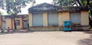 Milk Ganga flows again in Melghat | मेळघाटात पुन्हा वाहणार दूधगंगा Milk Ganga flows again in Melghat | मेळघाटात पुन्हा वाहणार दूधगंगा