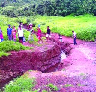 Waghiniwadi deprived of the road | वाघिणीवाडी रस्त्यापासून वंचित