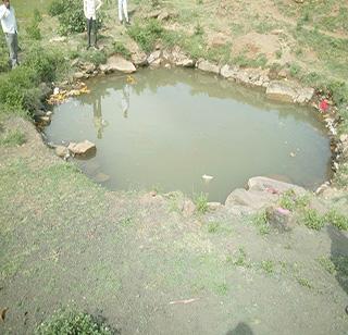 Sister-in-law's death by drowning in the well | विहिरीत बुडून बहीण-भावाचा मृत्यू